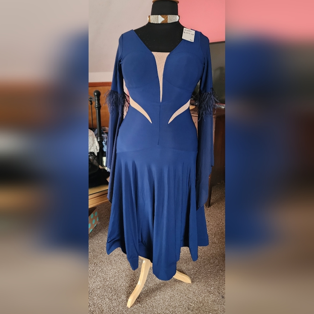 Smooth Ballroom Dress with feather sleeve detail.